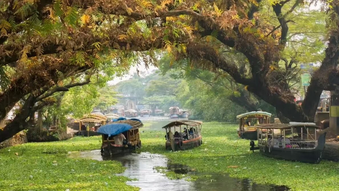 Kerala Travel Guide for First-Time Visitors