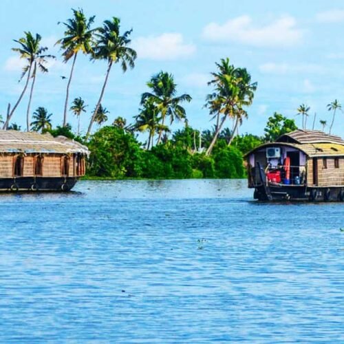 Kerala Hill Stations & Wildlife Escape
