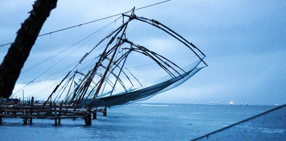 kochi-d